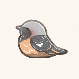 昔鳥