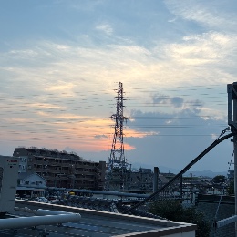 まめっち
