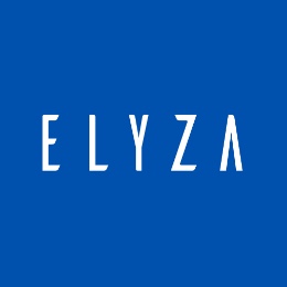 株式会社 ELYZA