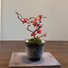 佐々木勝則