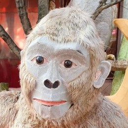 ころたろ