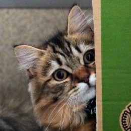 taka