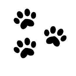 nnk