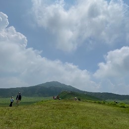 Gucchi