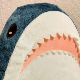 ただのサメ