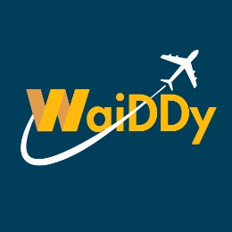 WaiDDy Devチーム