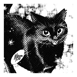 🐈⬛🟡
