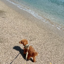 ひで