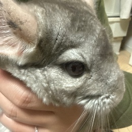ういと