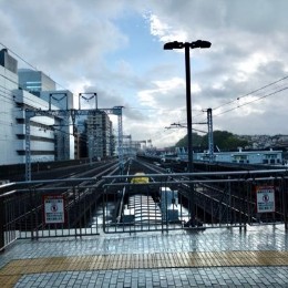のぶ