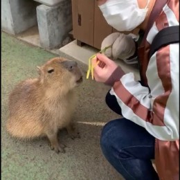 やまぐち