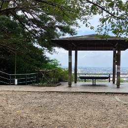 プラム
