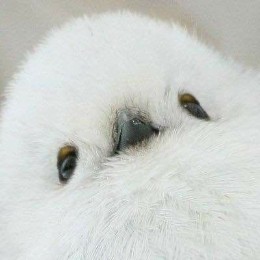 あい | フリーランスエンジニア