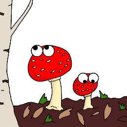 nog