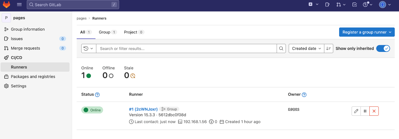 GitLab Runner now online