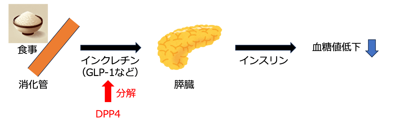📰 In silico スクリーニングの流れ｜エンジニアとWET研究者の
