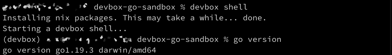 Devbox shell