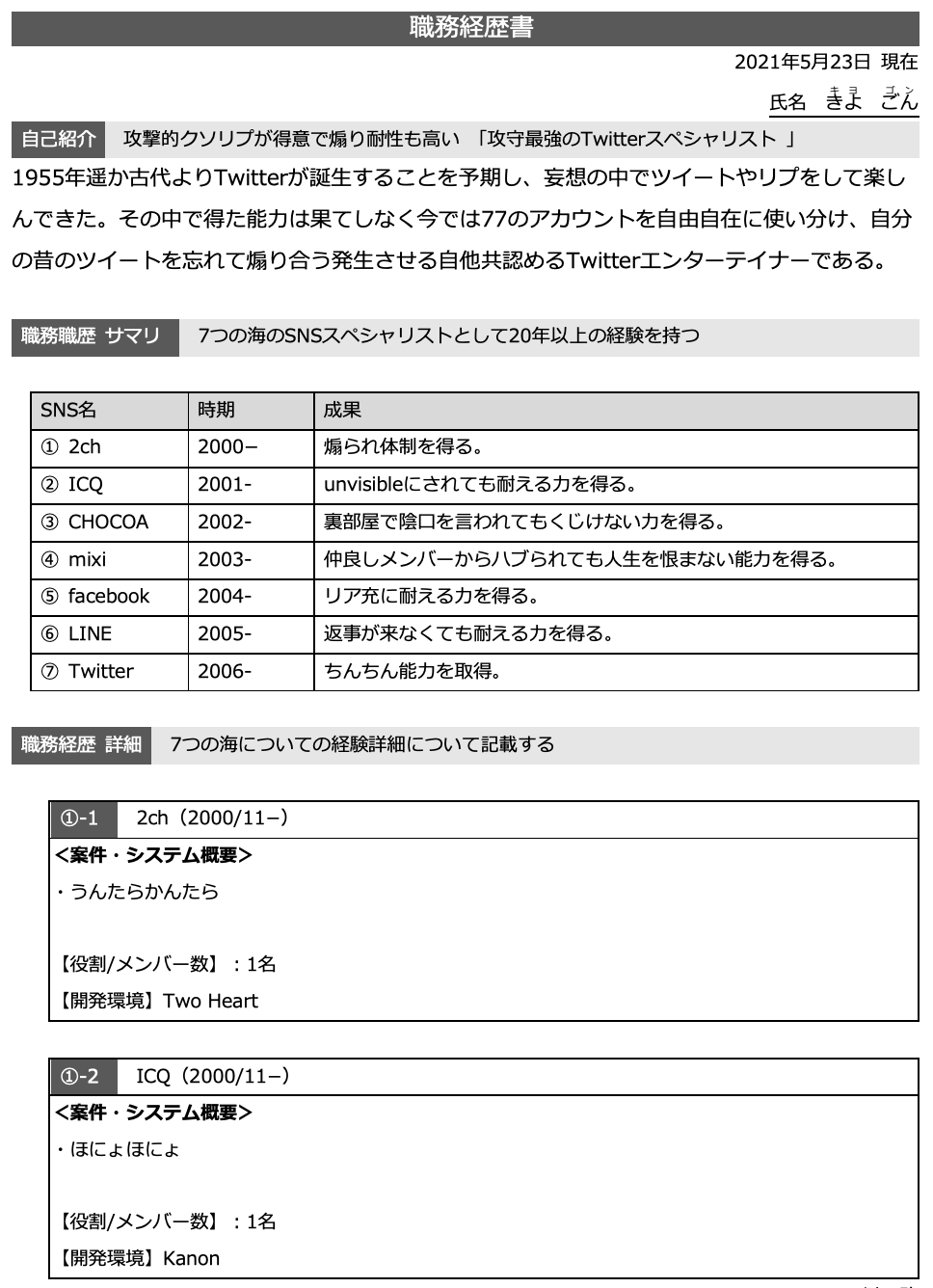 NZ 不相応 LT 職務経歴書の書き方 LF ZX NZ 不相応 LT 職務経歴書の書き方 LF ZX