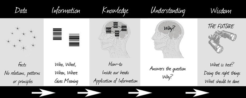 From Data to Wisdom by Nick Webb