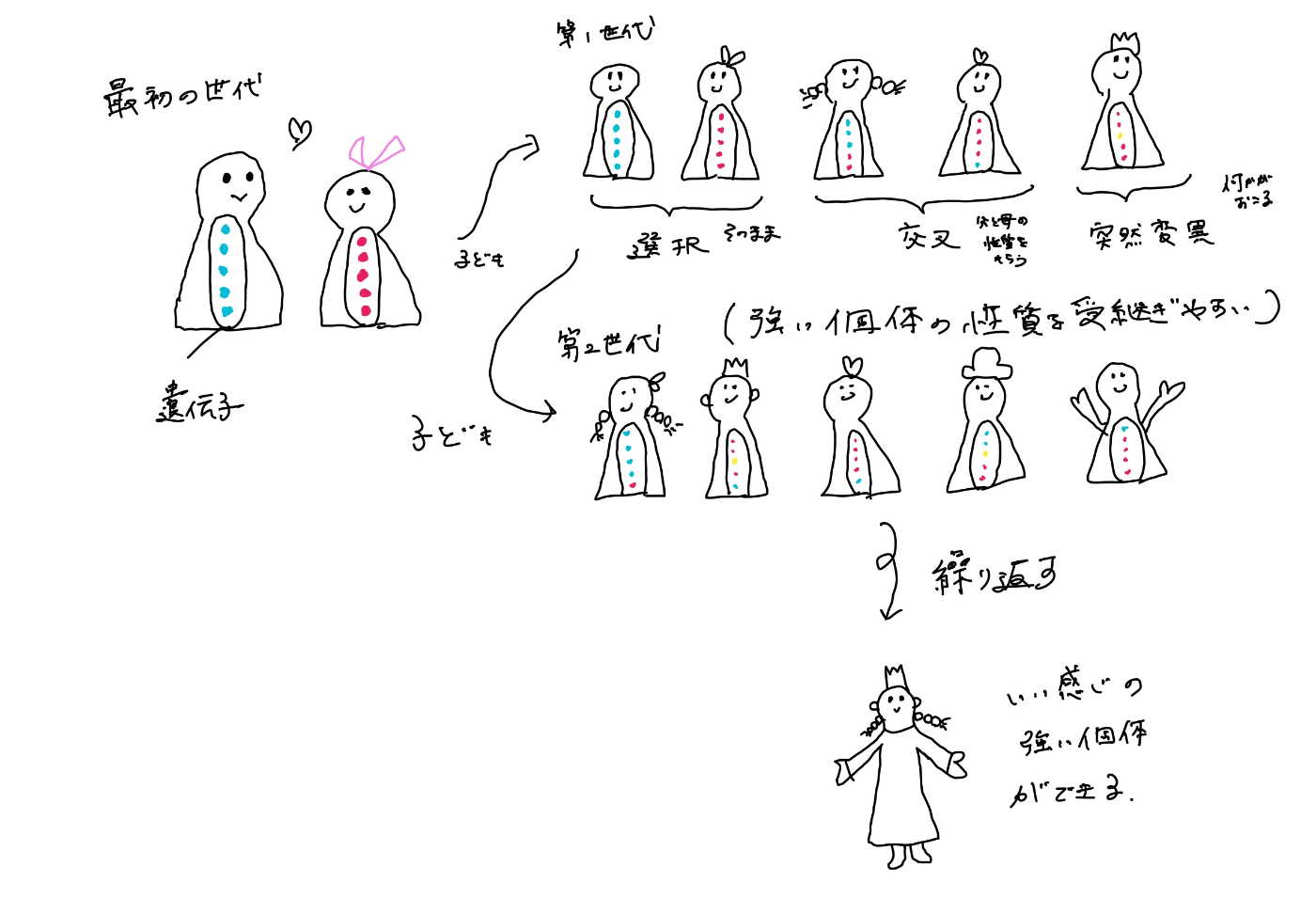 遺伝的アルゴリズムの流れ