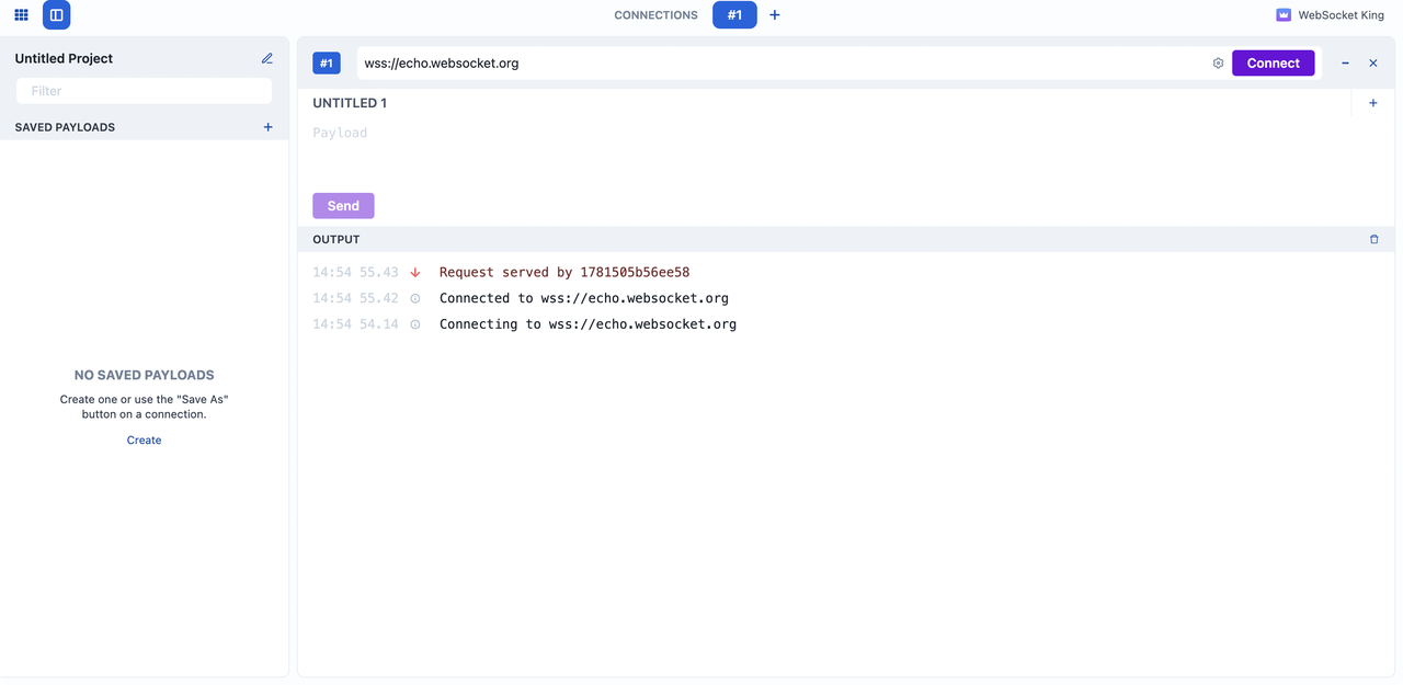 WebSocket King