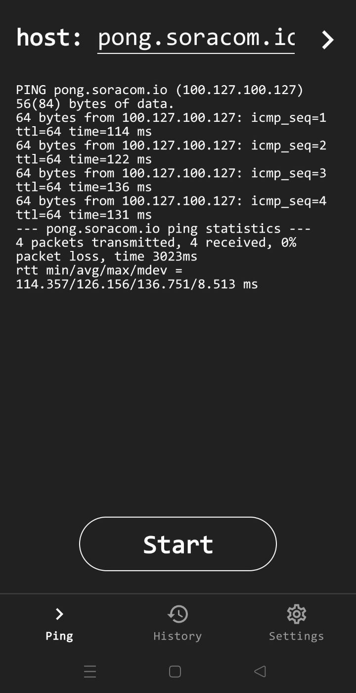 pingを打ってみる