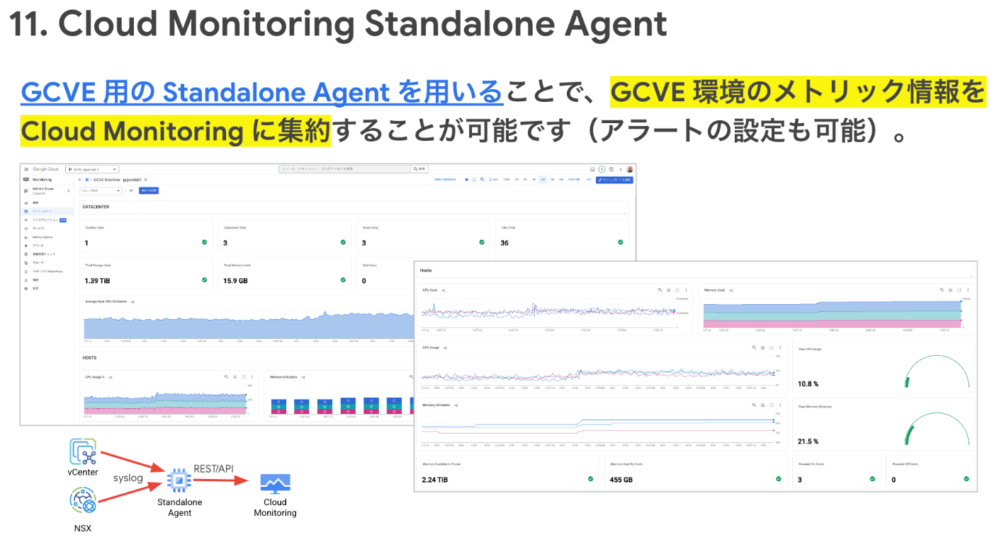 Cloud Monitoring Standalone Agent