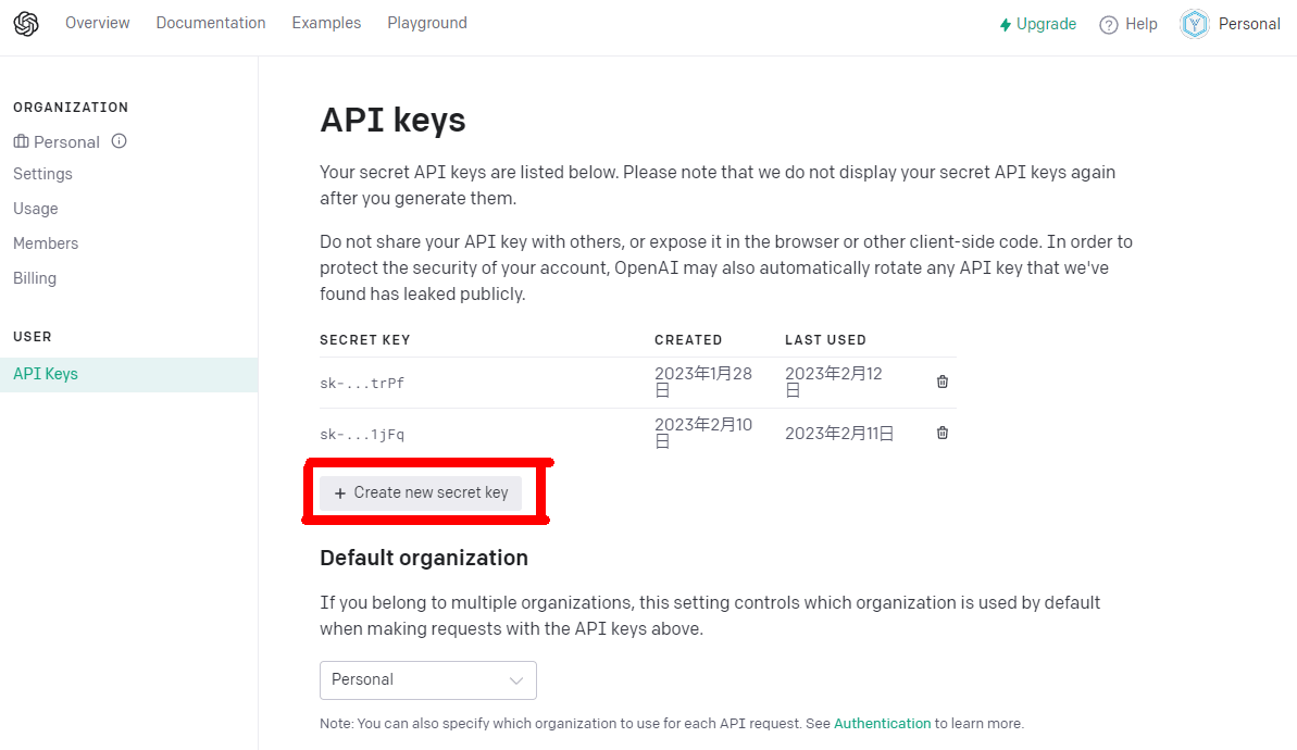 openai_api_key