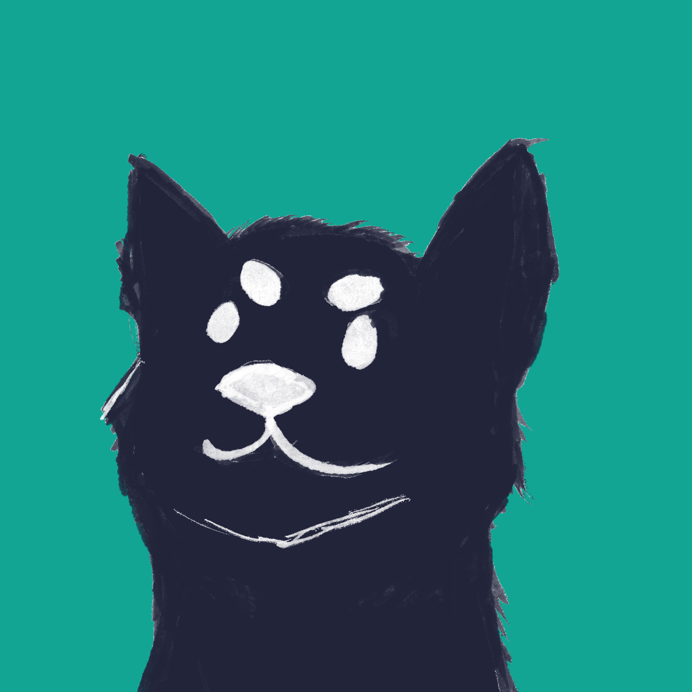 黒柴さん