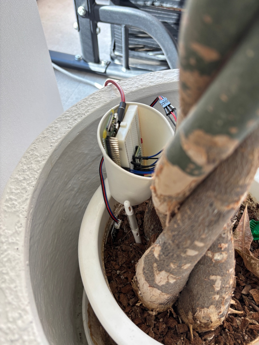 植物のお水をやるタイミングを教えてくれる「水やり番長」を作った😎