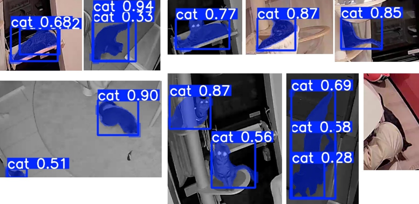 [Road to Cat Monitoring System] 7. Detecting My Cats with Ultralytics