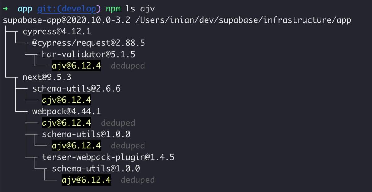 NPM dependencies