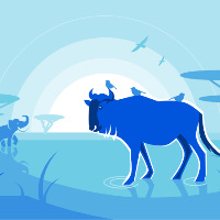 Wildebeest