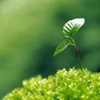 Cảm nhận khách hàng 1