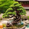 Cảm nhận khách hàng 4