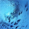 Cảm nhận khách hàng 9