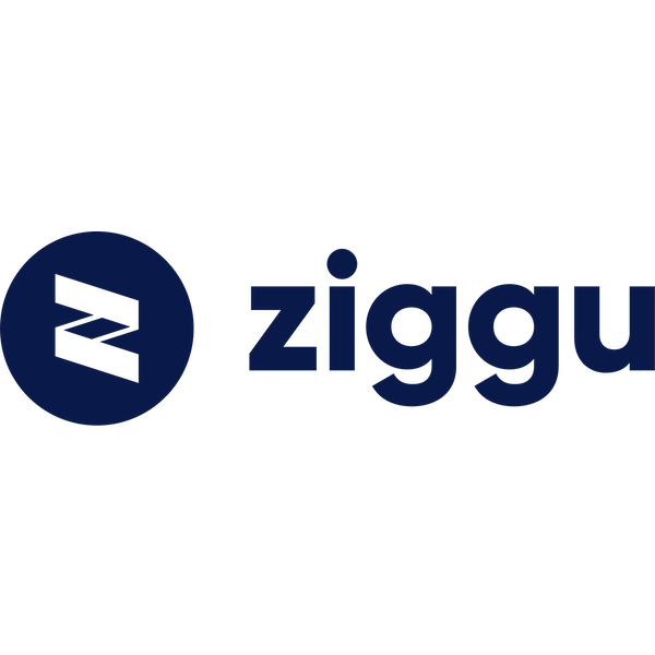 Ziggu API