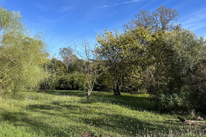 Terrain 950 m²