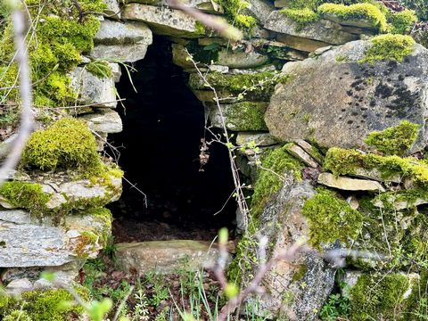 Proche Mercuès, grand terrain boisé et agricole