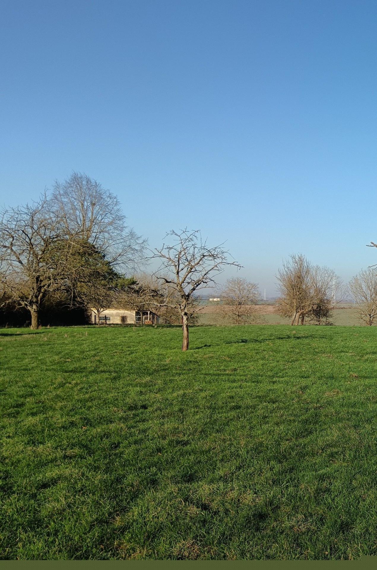 RARE ! Terrain à bâtir, campagne briotine