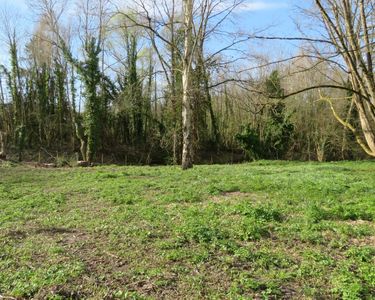 Terrain 3726 m² Montfort-l'Amaury