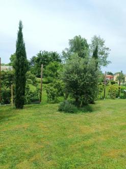 Terrain Vente Artigues-près-Bordeaux  820m² 214000€