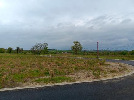 Terrain Vente Lasserre-Pradère  400m² 105000€