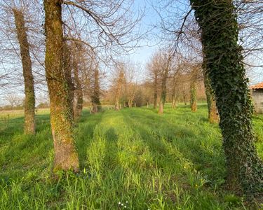 Beau terrain à vendre