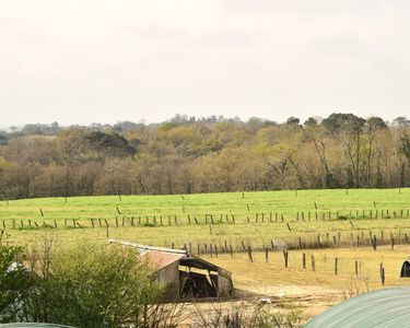 Ferme 10 pièces 235 m²