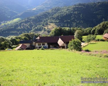 Ferme 15 pièces 450 m²