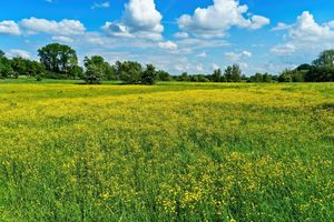 Terrain à bâtir de 182 m² à COMBOURG (35)