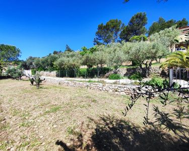 Terrain constructible de 732 m² arboré d'oliviers, avec une vue légèrement dominante - Plein Sud