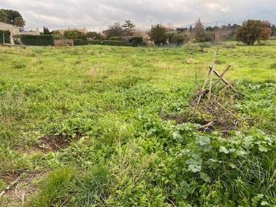 Terrain Vente Solliès-Pont  984m² 249000€