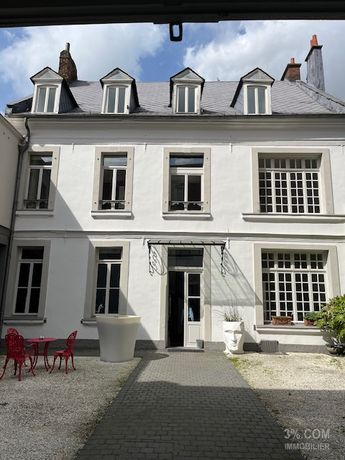 Hôtel particulier 12 pièces 357 m²